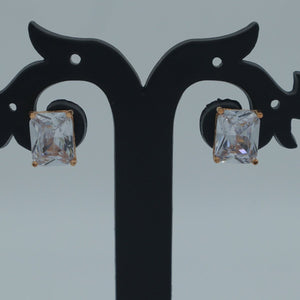 Saanvi Studs Earring - Nirvan Jewels